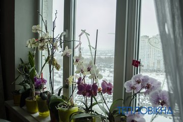 DSC0550 - 32