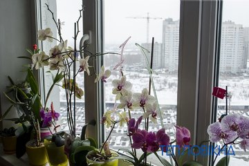 DSC0557 - 33